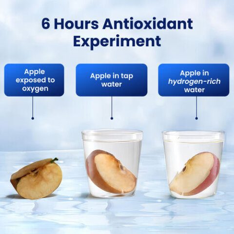 Hydrohealth Hydrogen Water Bottle image