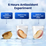 Hydrohealth Hydrogen Water Bottle image